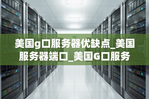 美国g口服务器优缺点_美国服务器端口_美国G口服务器的优缺点分析