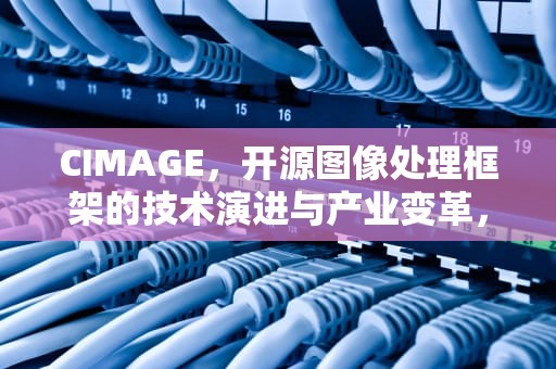 CIMAGE，开源图像处理框架的技术演进与产业变革，刺麻根的功效与作用图片