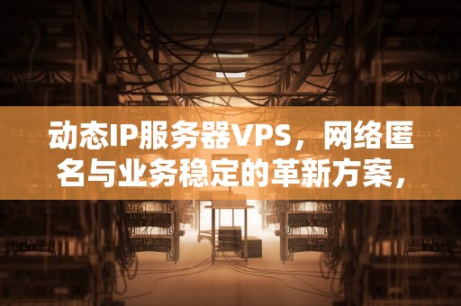 动态IP服务器VPS，网络匿名与业务稳定的革新方案，动态IP服务器怎么用