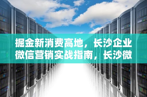 掘金新消费高地，长沙企业微信营销实战指南，长沙微信营销交流