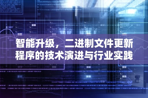 智能升级，二进制文件更新程序的技术演进与行业实践，二进制文件更新程序是什么