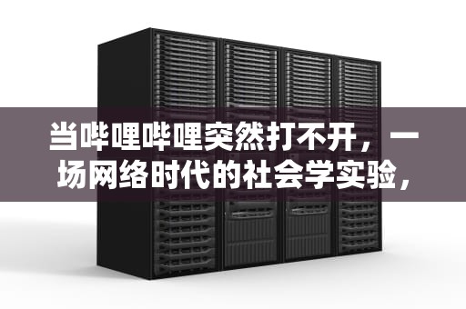 当哔哩哔哩突然打不开，一场网络时代的社会学实验，哔哩哔哩打不开了怎么回事