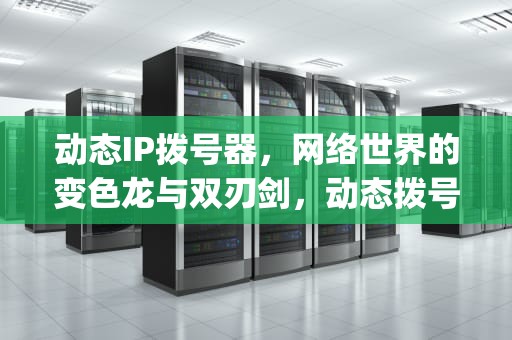 动态IP拨号器，网络世界的变色龙与双刃剑，动态拨号ip地址