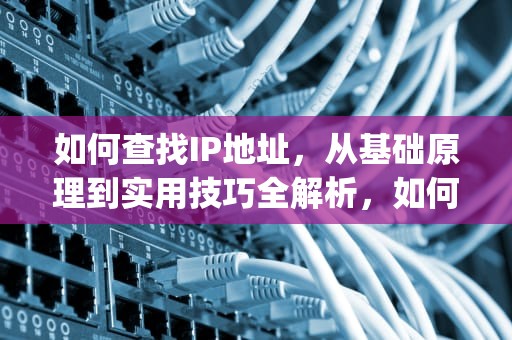 如何查找IP地址，从基础原理到实用技巧全解析，如何查找ip地址在哪里