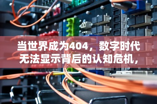 当世界成为404，数字时代无法显示背后的认知危机，无法显示url