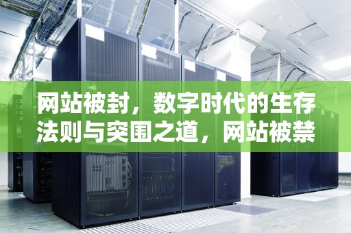 网站被封，数字时代的生存法则与突围之道，网站被禁止访问怎么打开