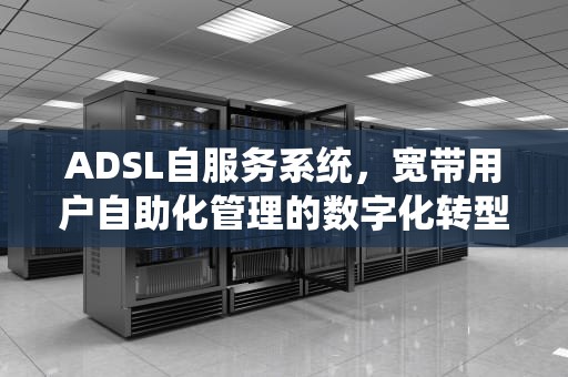 ADSL自服务系统，宽带用户自助化管理的数字化转型实践，adsl服务端