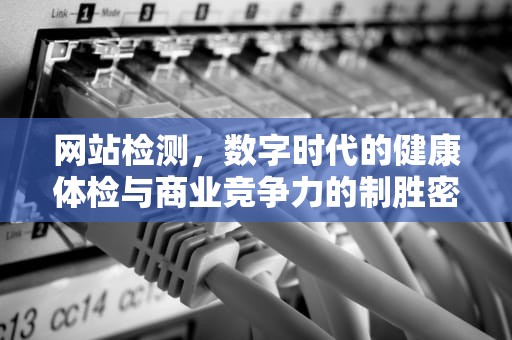 网站检测，数字时代的健康体检与商业竞争力的制胜密钥，网站检测网址安全