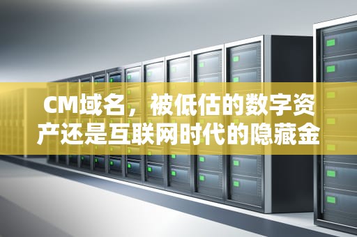 CM域名，被低估的数字资产还是互联网时代的隐藏金矿？海角.ccm域名