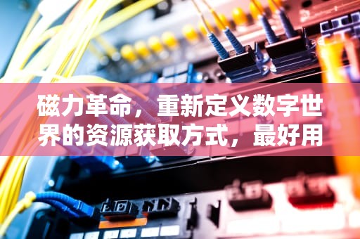 磁力革命，重新定义数字世界的资源获取方式，最好用的磁力搜索引擎