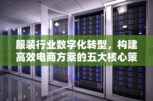 服装行业数字化转型，构建高效电商方案的五大核心策略，服装电子商务方案设计