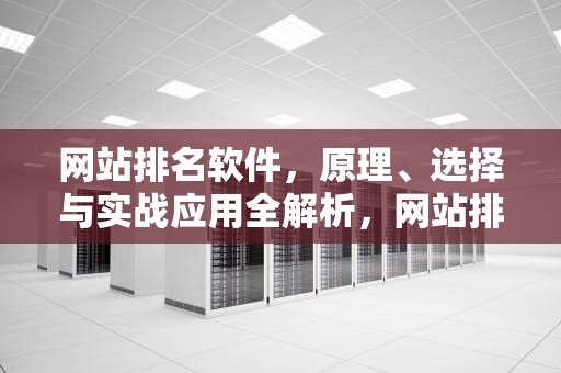 网站排名软件，原理、选择与实战应用全解析，网站排名软件有哪些