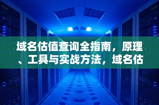 域名估值查询全指南，原理、工具与实战方法，域名估值查询网站
