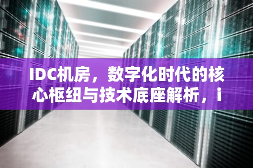 IDC机房，数字化时代的核心枢纽与技术底座解析，idc机房是什么意思