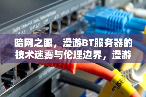 暗网之眼，漫游BT服务器的技术迷雾与伦理边界，漫游bt站