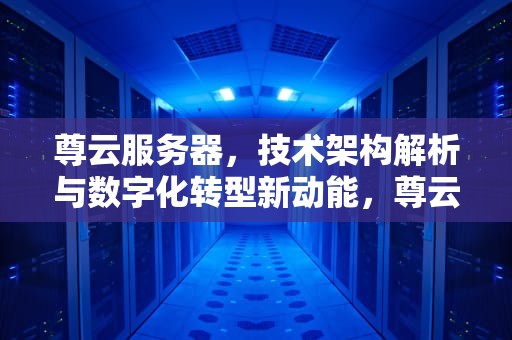 尊云服务器，技术架构解析与数字化转型新动能，尊云服务器官网