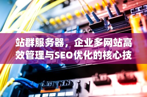 站群服务器，企业多网站高效管理与SEO优化的核心技术解析，站群服务器搭建的独立ip网络