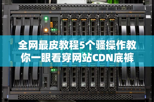 全网最皮教程5个骚操作教你一眼看穿网站CDN底裤