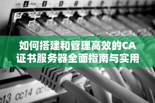 如何搭建和管理高效的CA证书服务器全面指南与实用建议