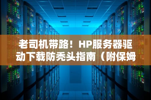 老司机带路！HP服务器驱动下载防秃头指南（附保姆级避坑教程）