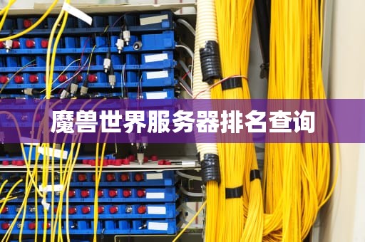 魔兽世界服务器排名查询