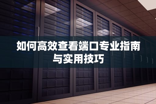 如何高效查看端口专业指南与实用技巧