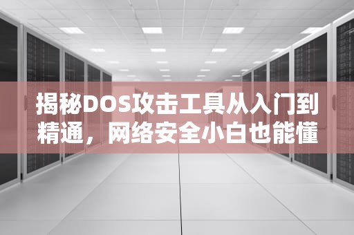 揭秘DOS攻击工具从入门到精通，网络安全小白也能懂！