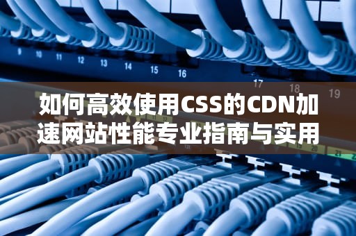 如何高效使用CSS的CDN加速网站性能专业指南与实用建议