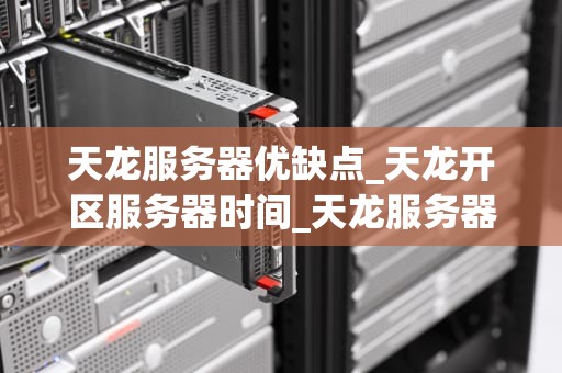 天龙服务器优缺点_天龙开区服务器时间_天龙服务器优缺点分析