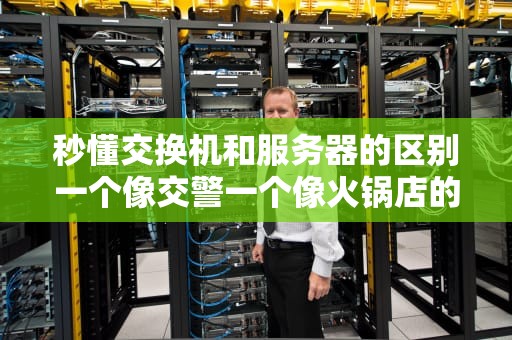 秒懂交换机和服务器的区别一个像交警一个像火锅店的搞笑教程