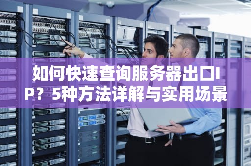 如何快速查询服务器出口IP？5种方法详解与实用场景指南