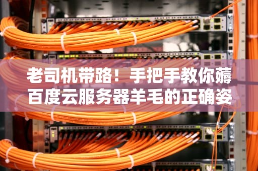 老司机带路！手把手教你薅百度云服务器羊毛的正确姿势（附2023年最新省钱攻略）