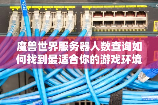 魔兽世界服务器人数查询如何找到最适合你的游戏环境？