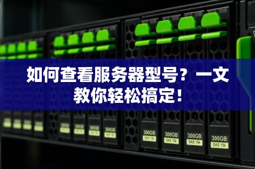 如何查看服务器型号？一文教你轻松搞定！