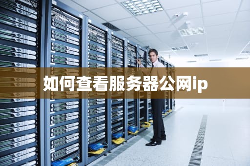 如何查看服务器公网ip