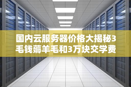国内云服务器价格大揭秘3毛钱薅羊毛和3万块交学费之间只差这篇避坑指南