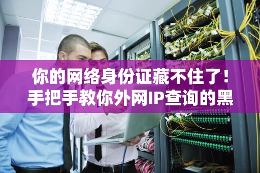 你的网络身份证藏不住了！手把手教你外网IP查询的黑科技（小白必看）