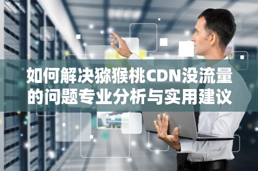 如何解决猕猴桃CDN没流量的问题专业分析与实用建议