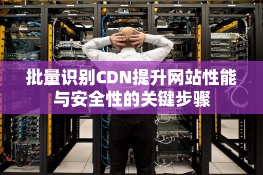 批量识别CDN提升网站性能与安全性的关键步骤