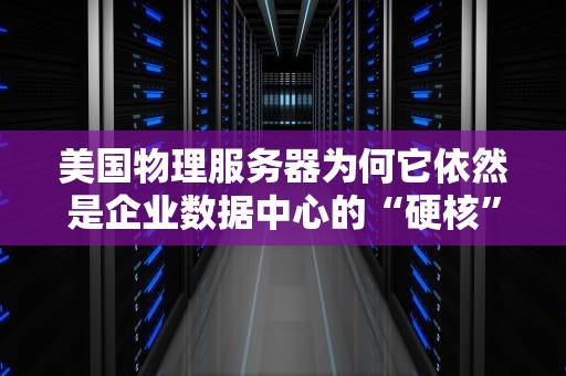 美国物理服务器为何它依然是企业数据中心的“硬核”选择？