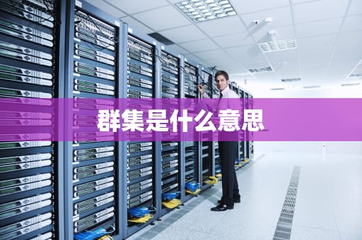 群集是什么意思