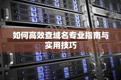 如何高效查域名专业指南与实用技巧