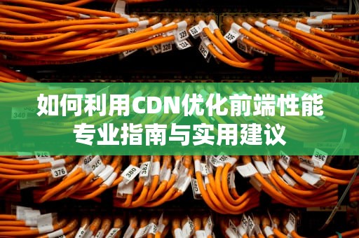 如何利用CDN优化前端性能专业指南与实用建议