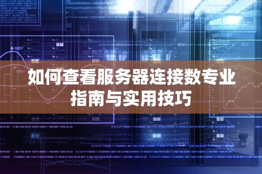 如何查看服务器连接数专业指南与实用技巧