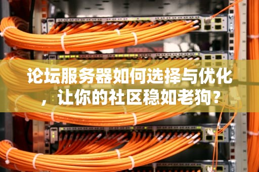 论坛服务器如何选择与优化，让你的社区稳如老狗？