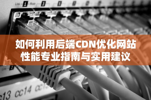 如何利用后端CDN优化网站性能专业指南与实用建议