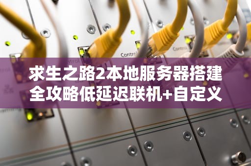 求生之路2本地服务器搭建全攻略低延迟联机+自定义玩法进阶指南