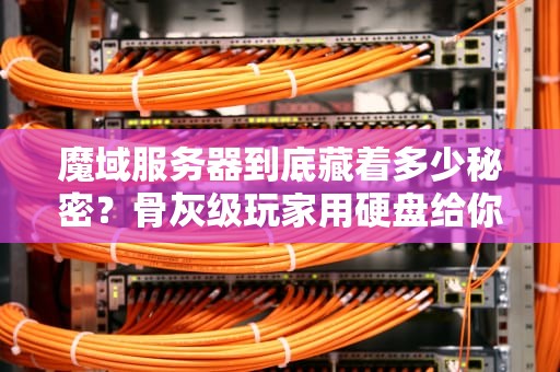 魔域服务器到底藏着多少秘密？骨灰级玩家用硬盘给你划重点！