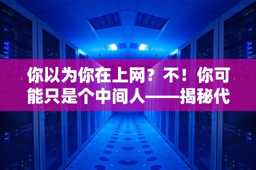 你以为你在上网？不！你可能只是个中间人——揭秘代理服务器上网的隐藏玩法