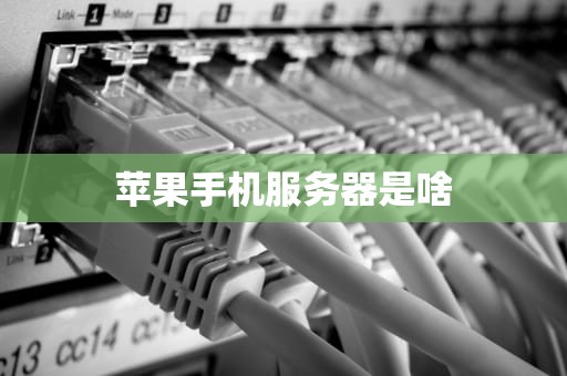 苹果手机服务器是啥